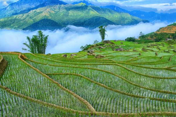 Ảnh tour Vịnh Hạ Long